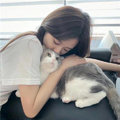 情挑淑女心在线观看封面