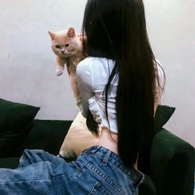 一梦如故在线观看封面
