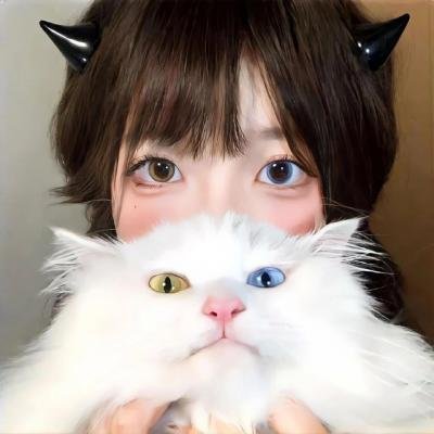 狐步舞在线观看封面