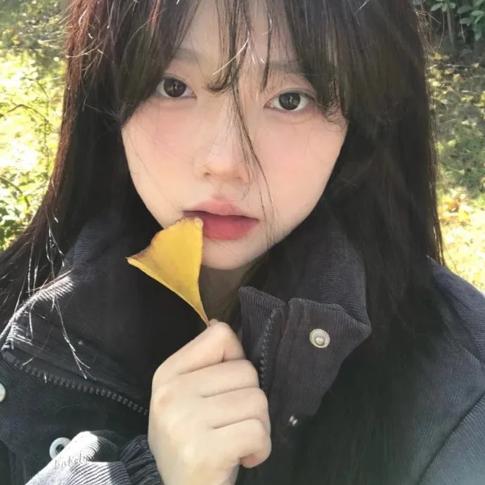 借脸在线观看封面