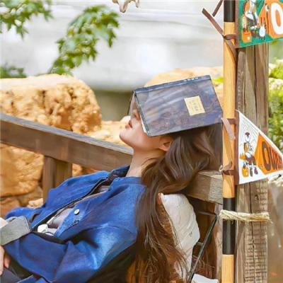 阿妮塔与加里波第在线观看封面