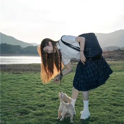 租借女友第四季在线观看封面